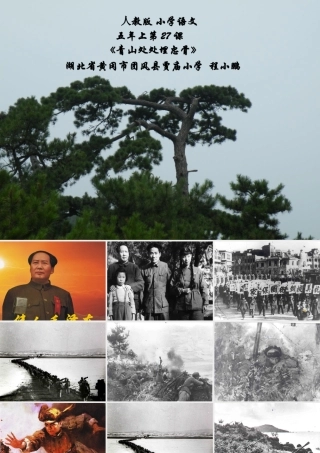 青山处处埋忠骨-徐海舟