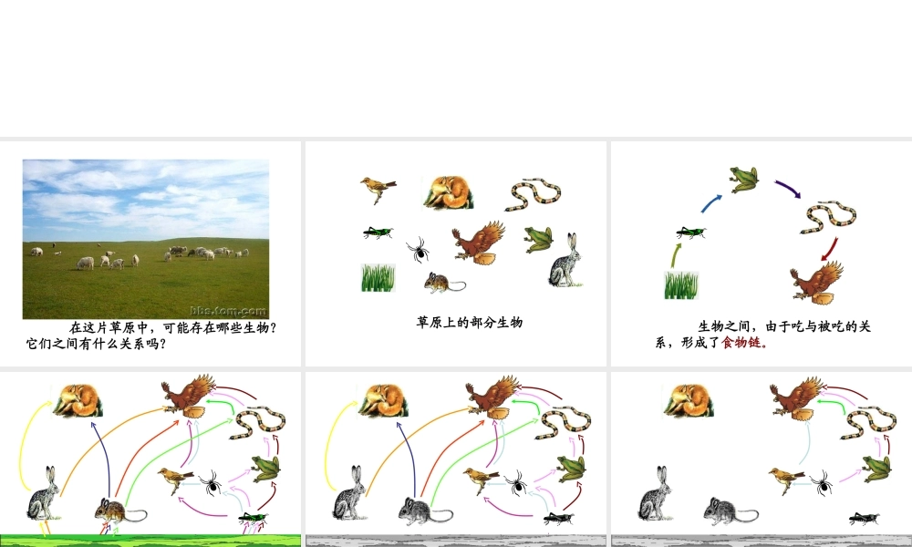 七年级上册生物生态系统