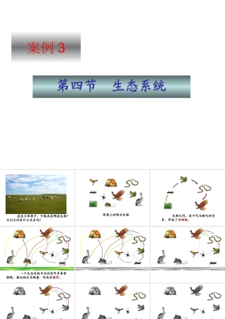 七年级上册生物生态系统