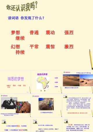 蒋小强语文高段课件瑞恩的梦想四下