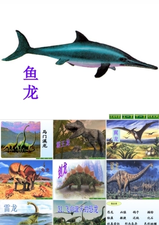 飞向蓝天的恐龙 