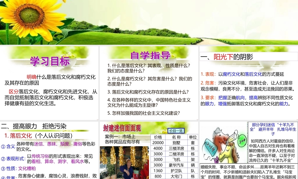 在文化生活中选择