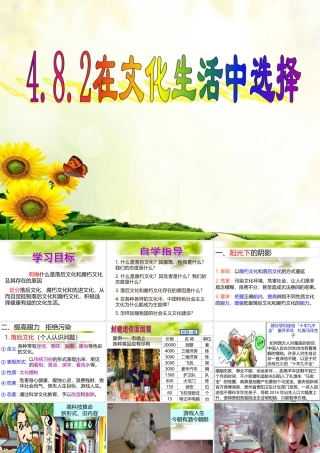 在文化生活中选择