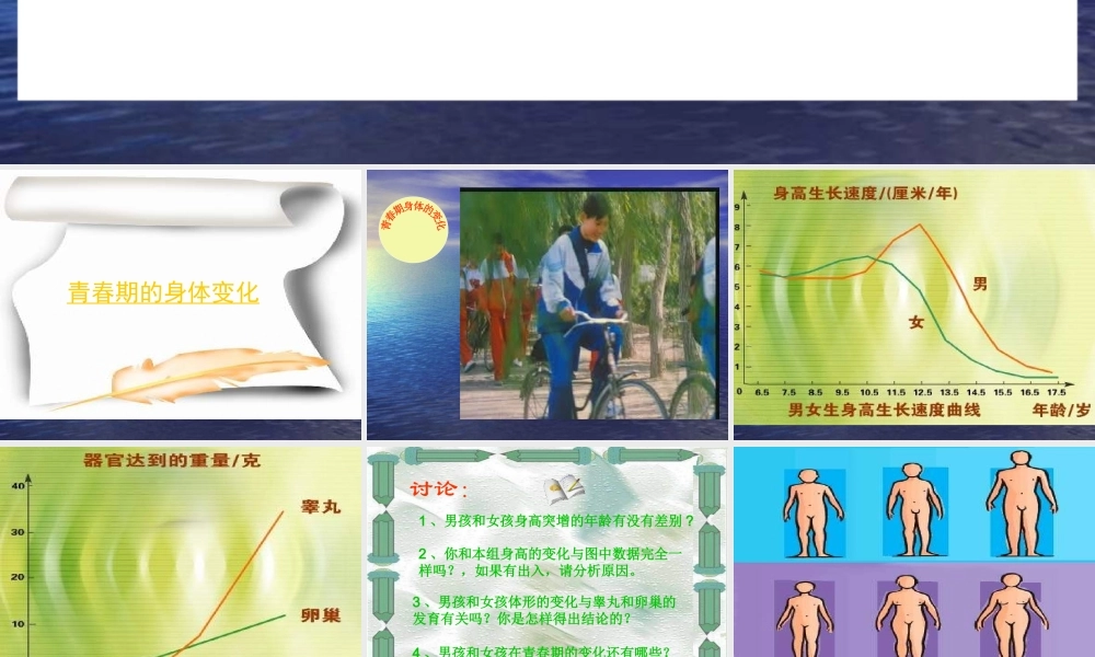 七年级生物青春期1