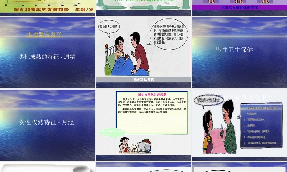 七年级生物青春期1