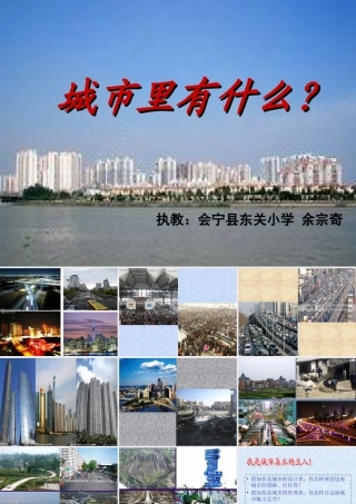 城市里有什么PPT课件
