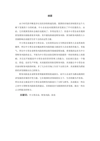 我国中小企业财务风险分析与防范的探讨