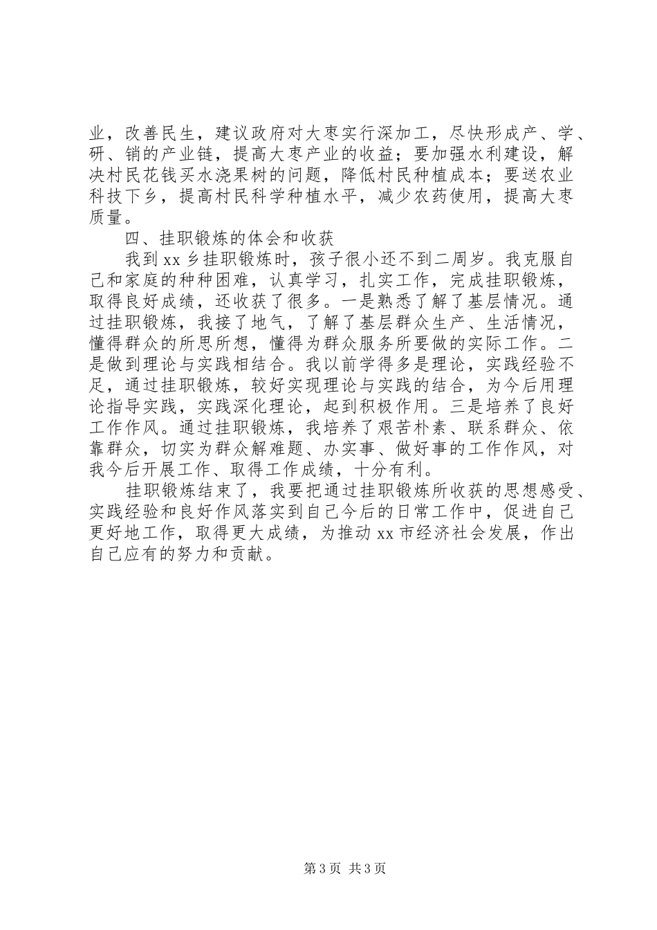 乡党委副书记挂职锻炼工作总结_第3页