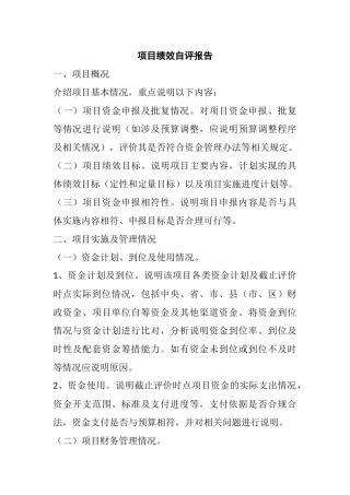 项目绩效自评报告