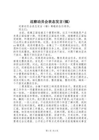 巡察动员会表态发言(镇)