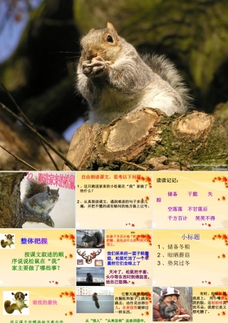 跑进家来的松鼠 