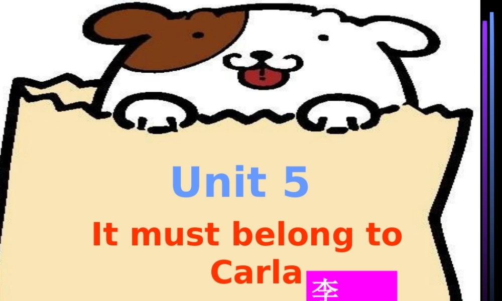 九年级英语ItmustbelongtoCarla课件14