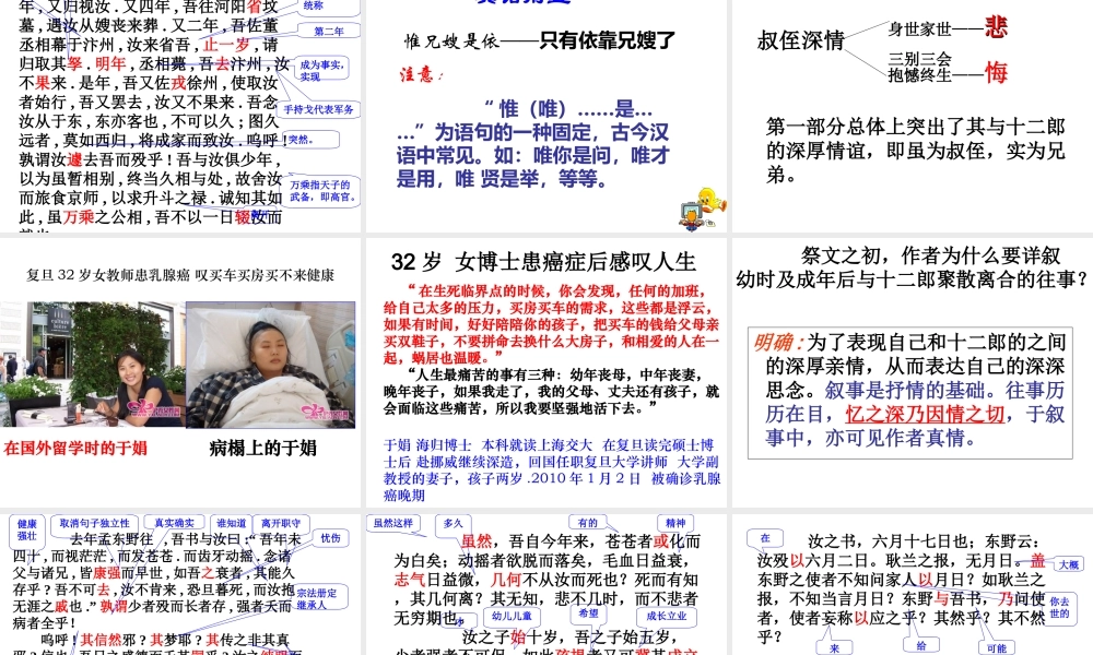 《祭十二郎文》