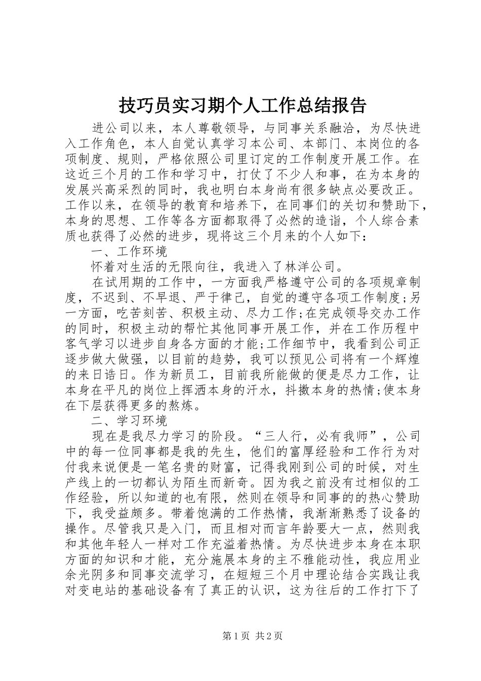 技巧员实习期个人工作总结报告_第1页