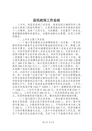 县民政局工作总结