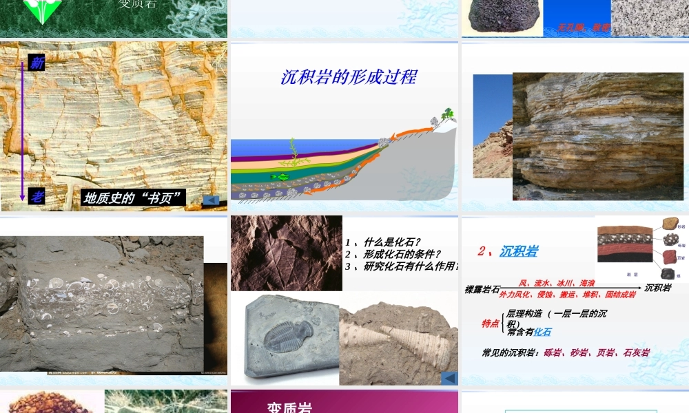 地壳的物质组成和物质循环