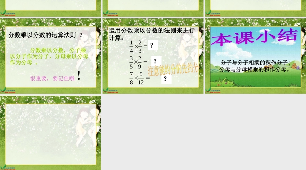 (北师大版)五年级数学下册课件_分数乘法(三)11