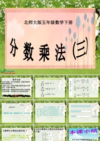 (北师大版)五年级数学下册课件_分数乘法(三)11