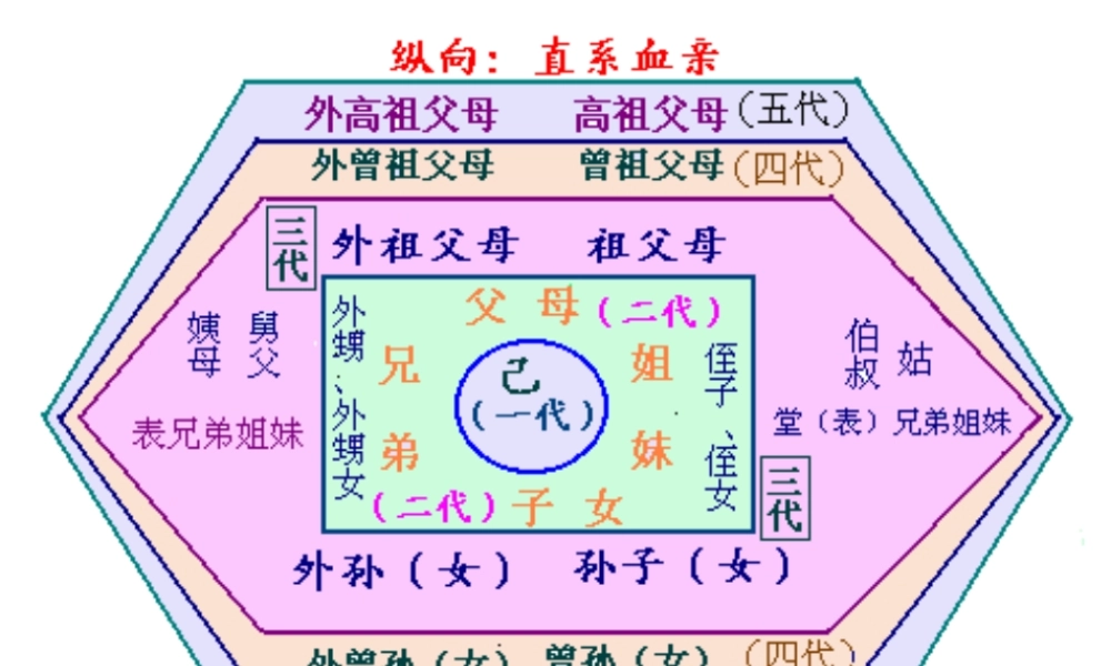 直系旁系血亲图
