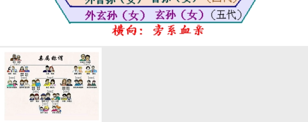 直系旁系血亲图