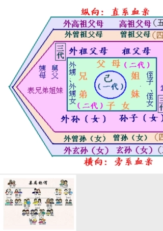 直系旁系血亲图