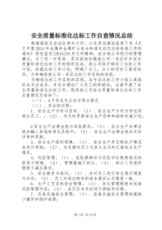 安全质量标准化达标工作自查情况总结