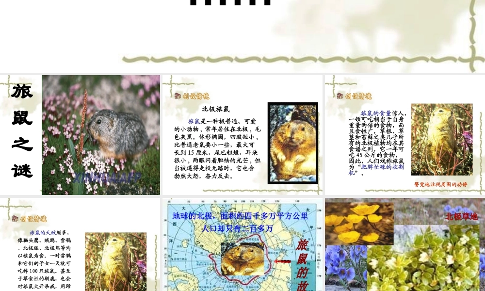 旅鼠之谜课件 (2)