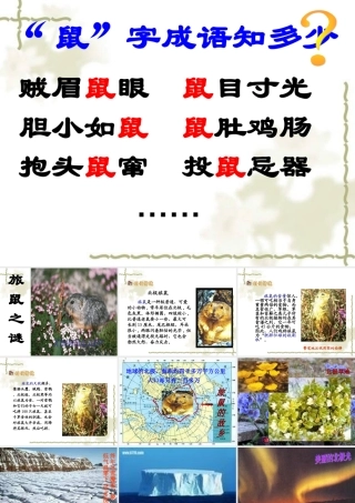 旅鼠之谜课件 (2)