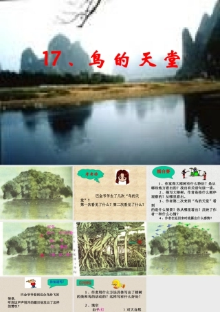 鸟的天堂教学课件