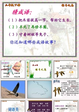 惊弓之鸟课件 