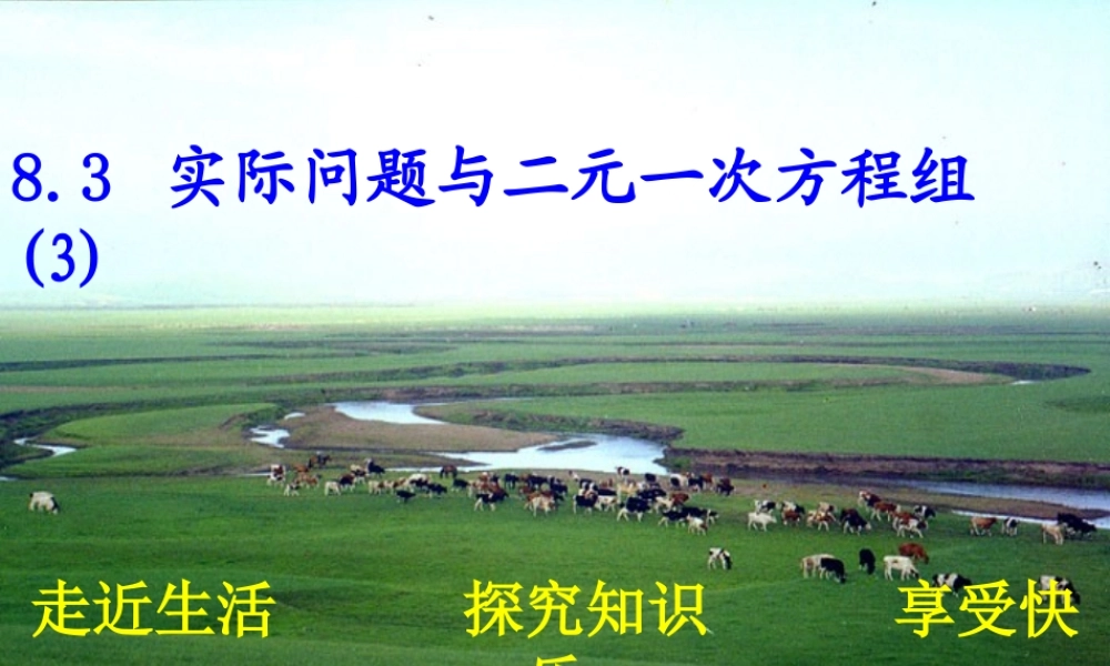 实际问题与二元一次方程组探究三