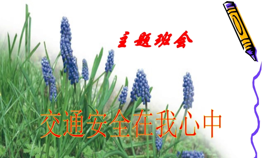 安全教育班会《交通安全在我心中》PPT课件