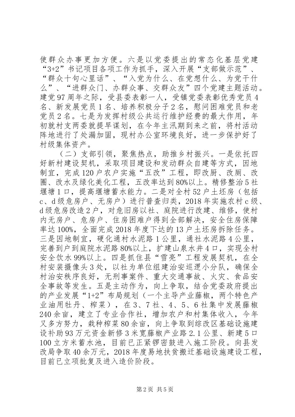 村支两委工作总结_第2页