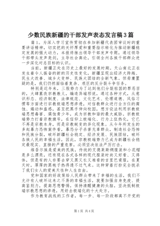少数民族新疆的干部发声表态发言稿3篇