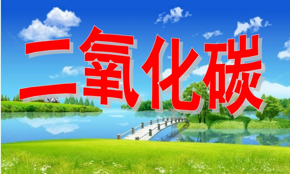 人教版九年级化学第六单元第三节第一课时