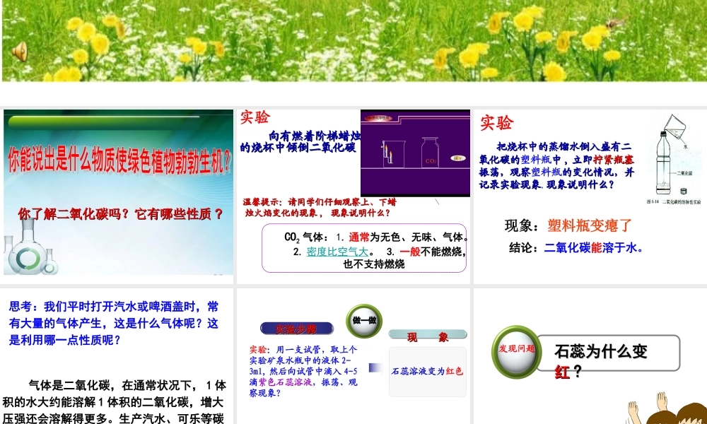 人教版九年级化学第六单元第三节第一课时
