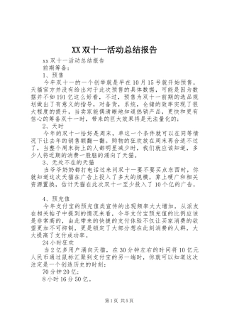 XX双十一活动总结报告