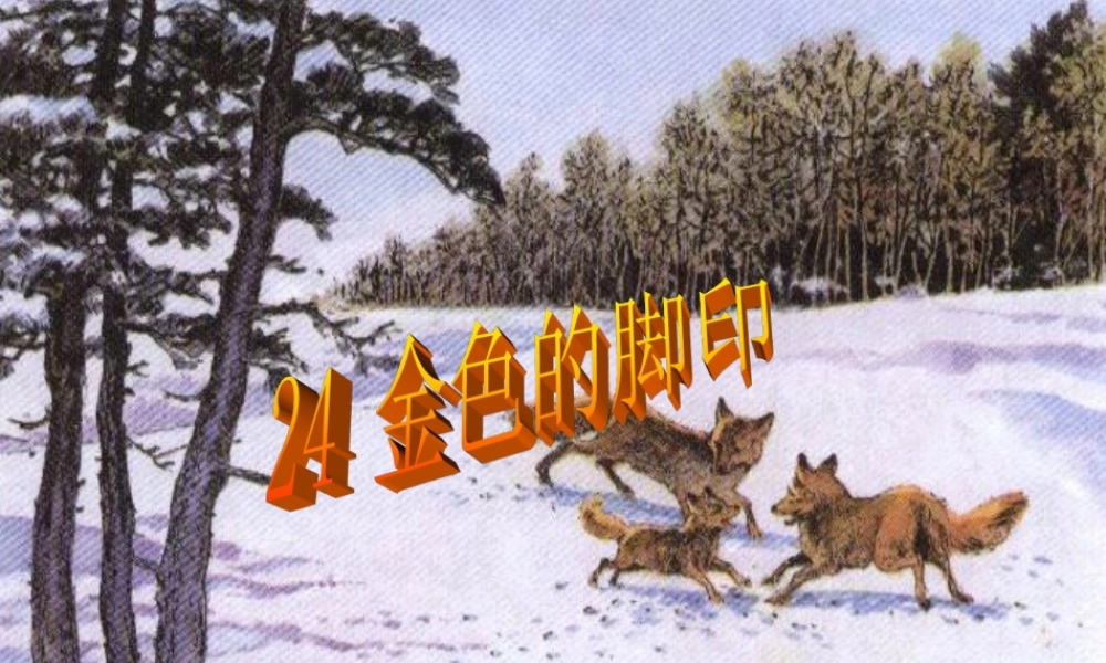 沪江网_24金色的脚印_2013012220144460_137