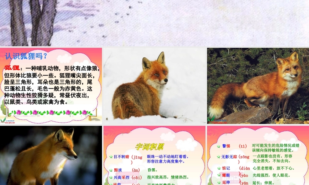 沪江网_24金色的脚印_2013012220144460_137