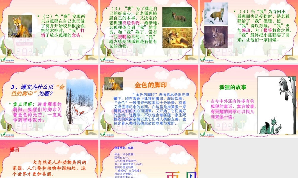 沪江网_24金色的脚印_2013012220144460_137