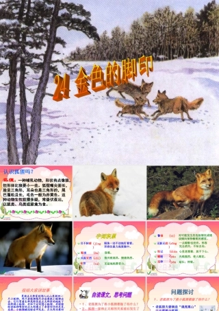 沪江网_24金色的脚印_2013012220144460_137
