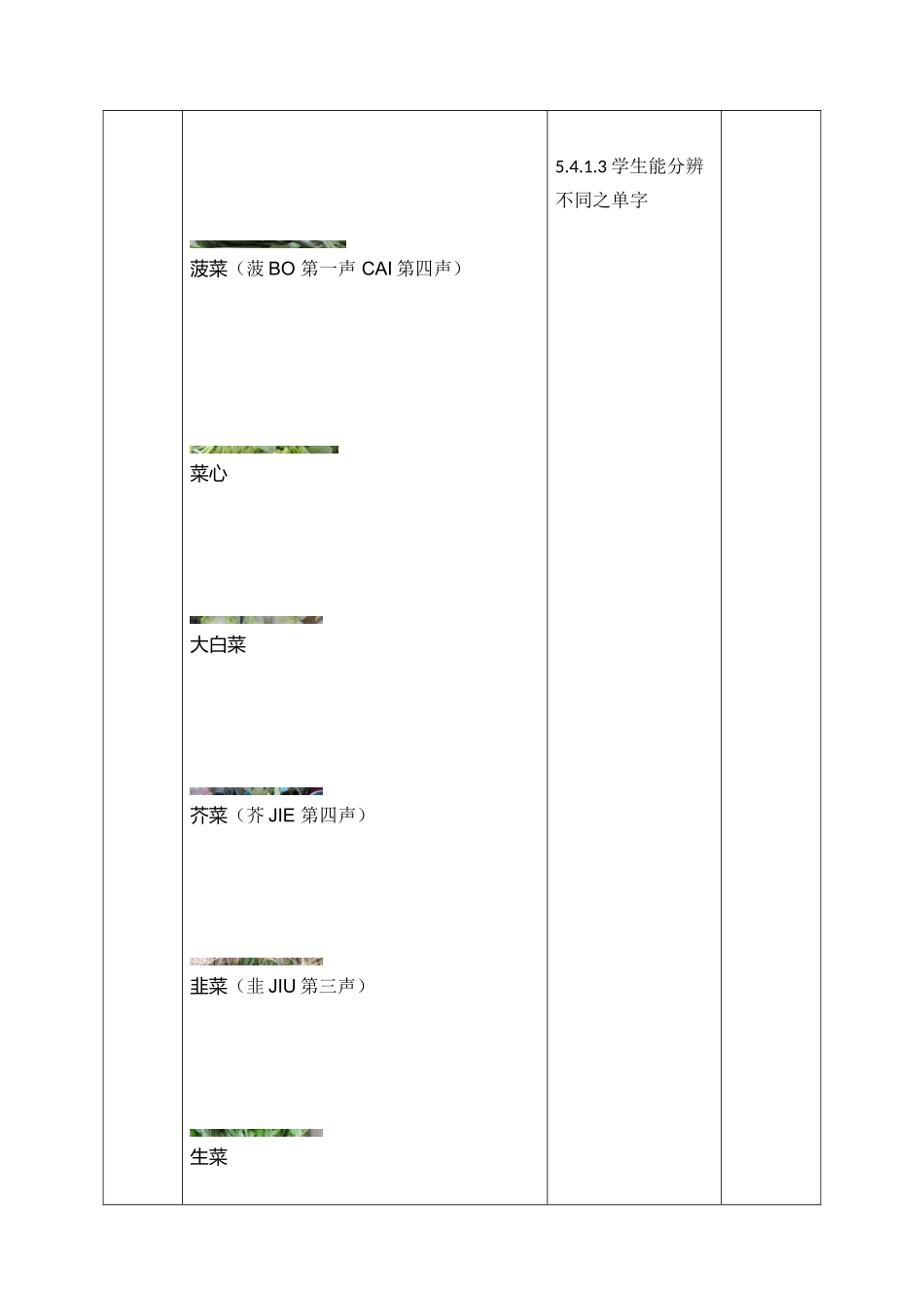 《蔬菜的认识》梁汝添(1)_第3页
