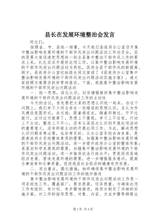 县长在发展环境整治会发言