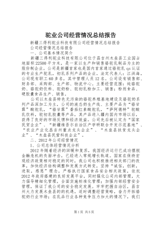 驼业公司经营情况总结报告