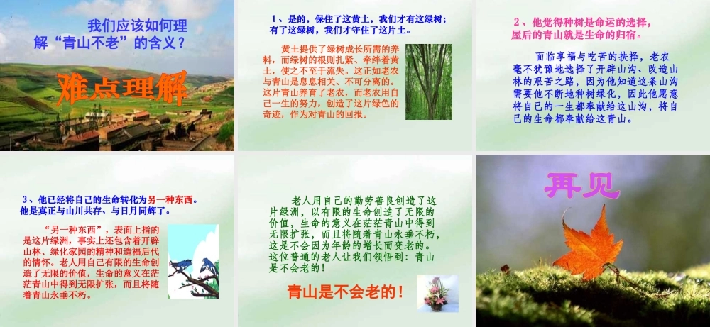 人教版小学语文第11册课件_《青山不老课件_》_PPT课件