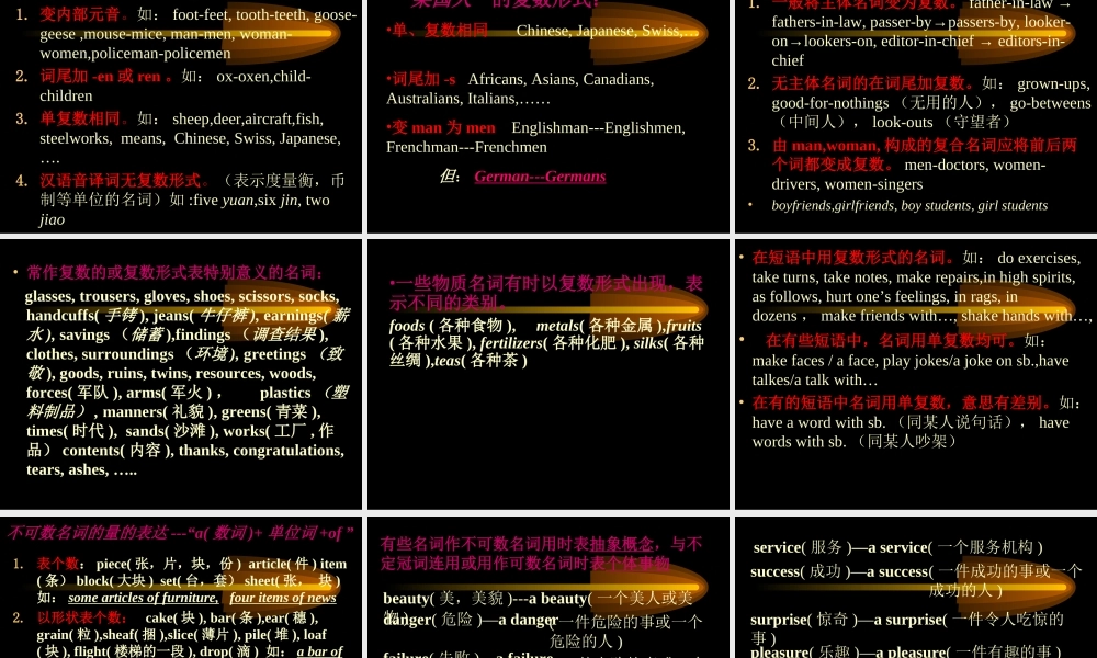 高三英语语法总复习——名词