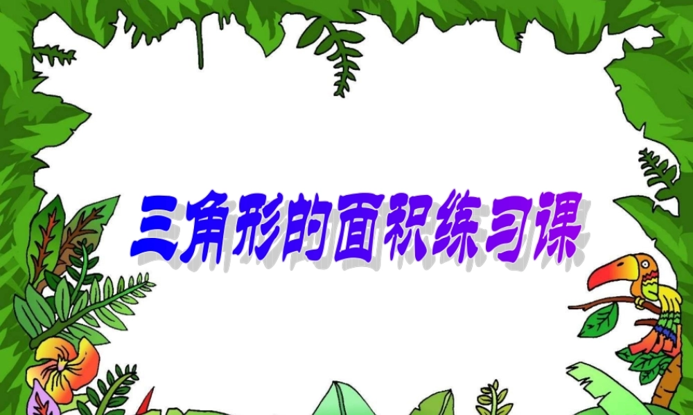 三角形的面积练习课