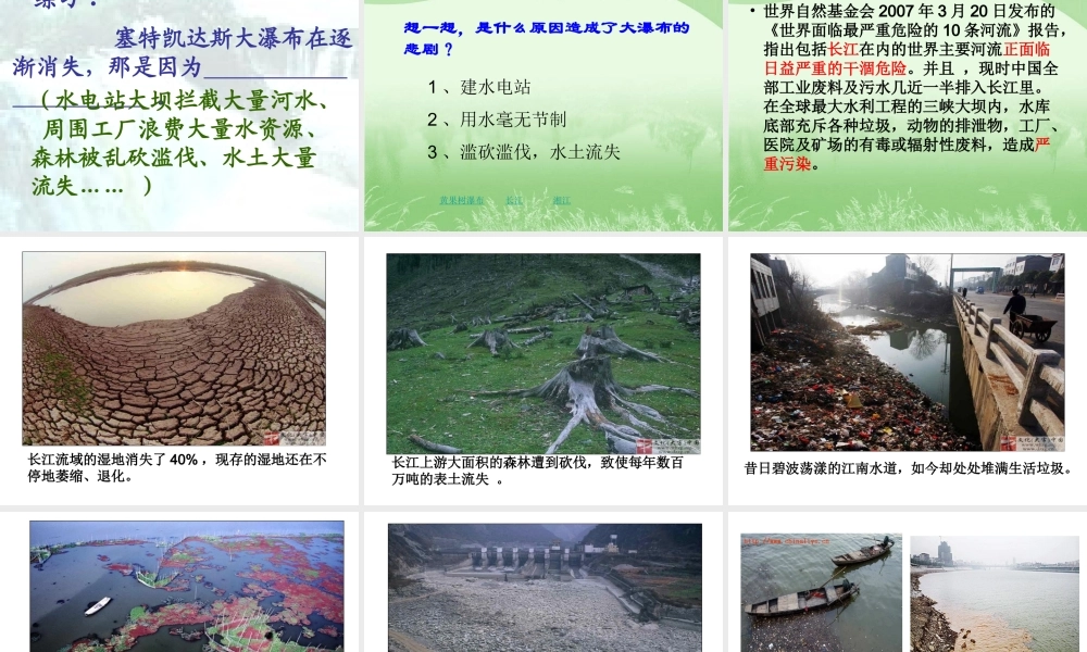 大瀑布的葬礼 (3)