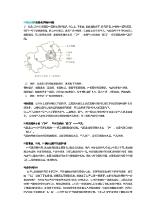 叶片的结构各组成部分的特性