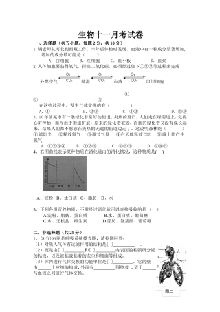 十一月月考试题